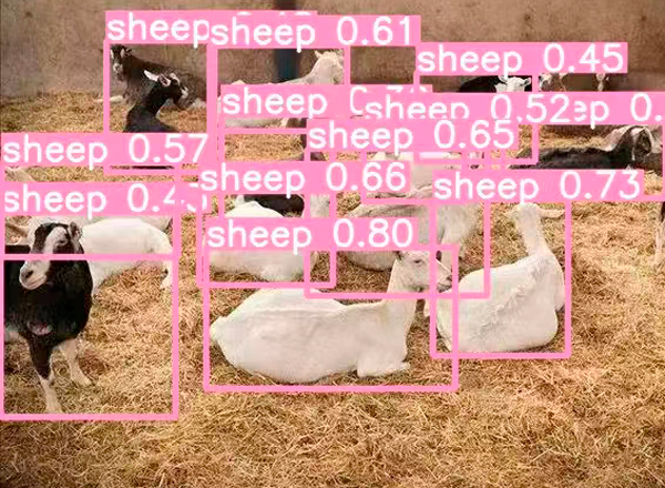 AI智能監(jiān)控 AI智能監(jiān)控